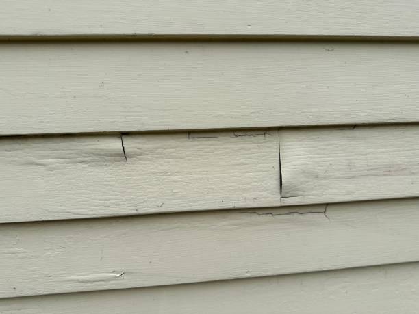 Best Hoarding Cleanup  in Diamondhead, MS